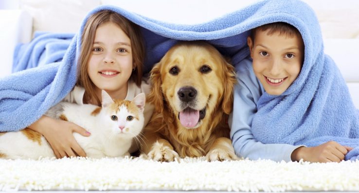 459eebd620c8a74d21de4cae2a5c425f