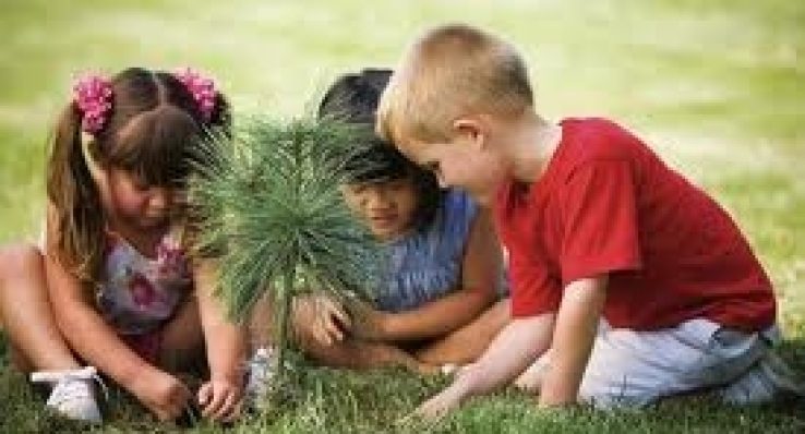 Enseña a tus hijos a cuidar el medio ambiente