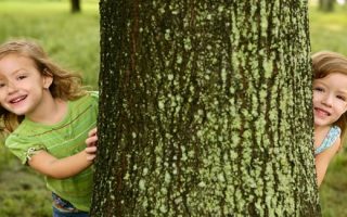 4f7ef1c9de3583543c3077db338910bc