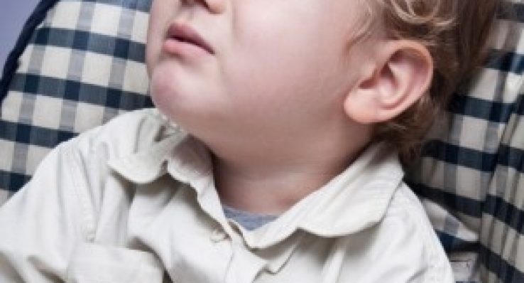 4feb08b32fc2bca59f9db42b69cd4022