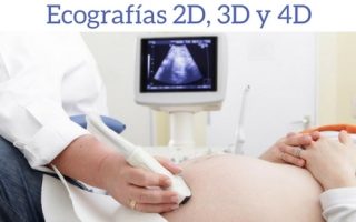 51373261f0b33bfb616b924782bd2ed3