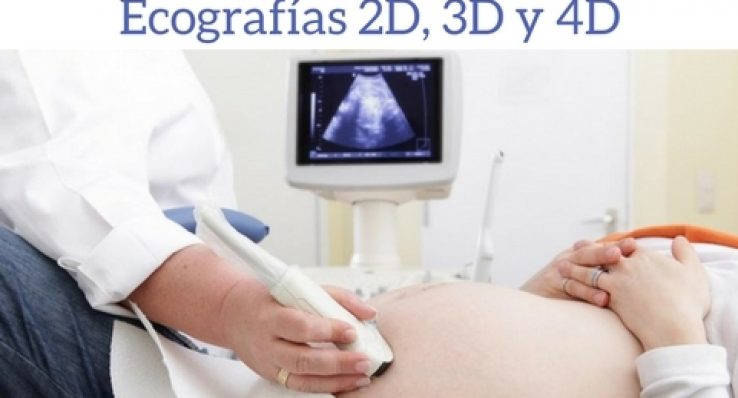 51373261f0b33bfb616b924782bd2ed3