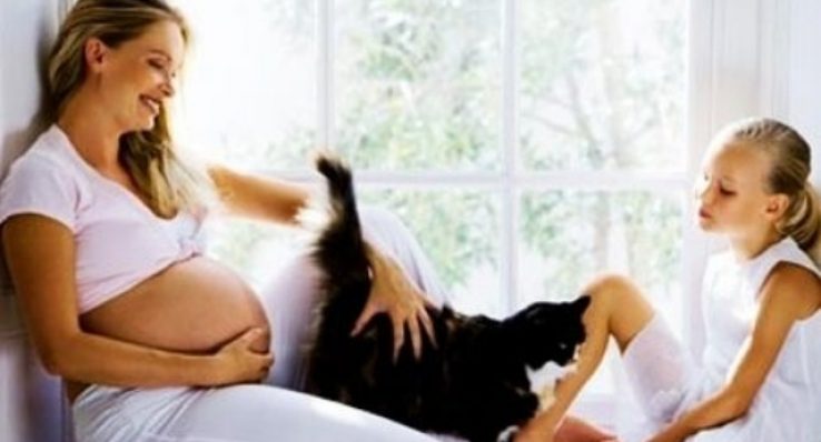 52847945d34c24d045f4f6bfeae5a17d