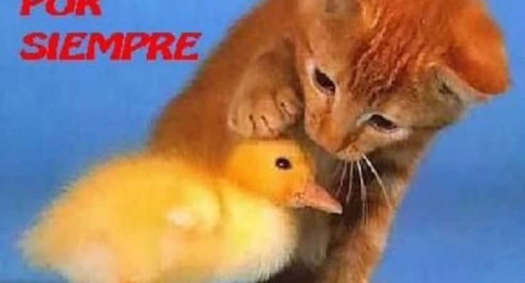 59d925d75340d64d31d5ce71bf6ceaf4