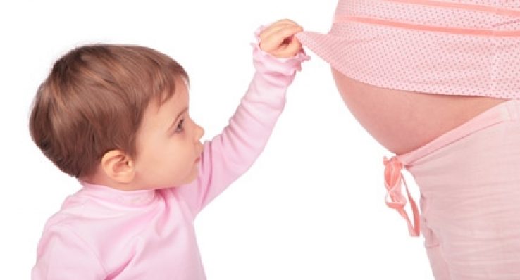 64cf547a8aac0c429c1de171c29426f0