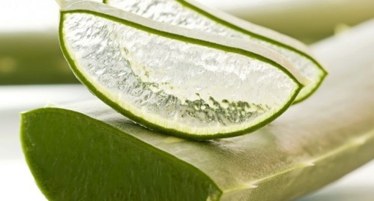 65a557993bf0bb6f7667410f1930860b