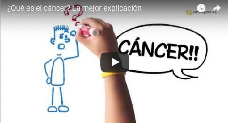 66bed9f78c2b414fd6ce84ac077746de