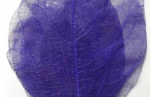 6a3568ec75354456ab1e6b6fc1540ba0