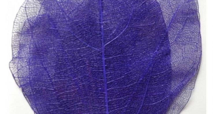 6a3568ec75354456ab1e6b6fc1540ba0