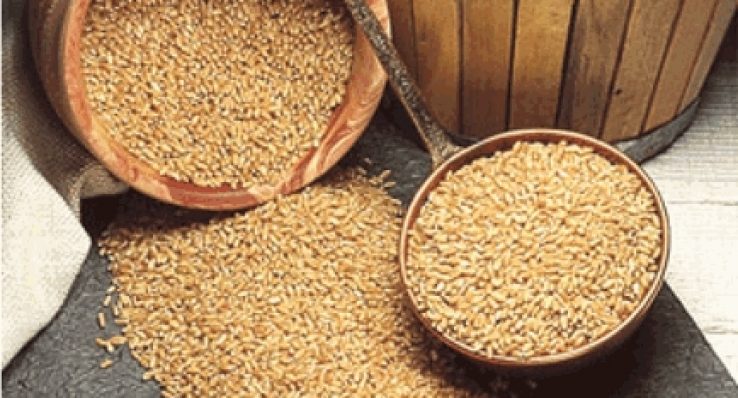 6c16f95e5837b7a15cc22a32eb72fad8