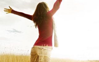 6e4b2528701707a3ed973fc804a3e209