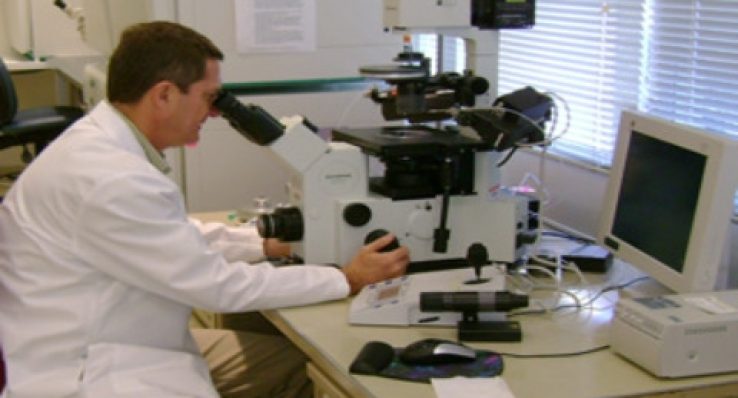 788ff92e9a59aeb146ed681b6c832028