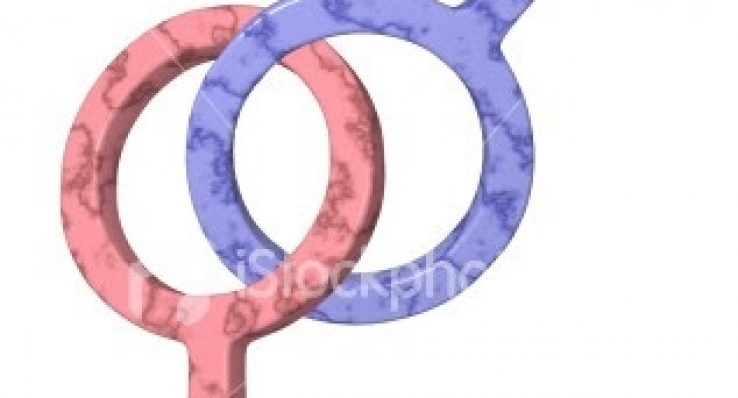 78d607068cd064420401737e12f83bae