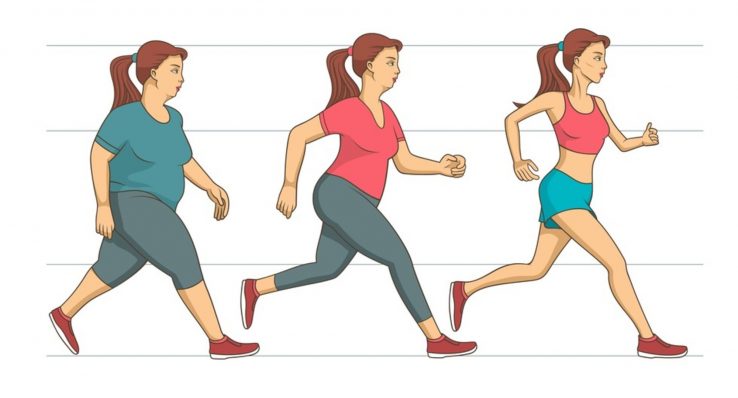 7989577e7de081a1a214e318c33e2a73