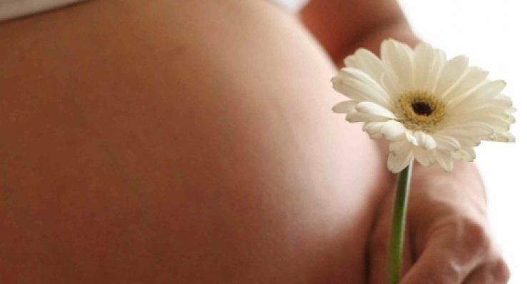 79b97955b8731b521a435e9c32b1911f