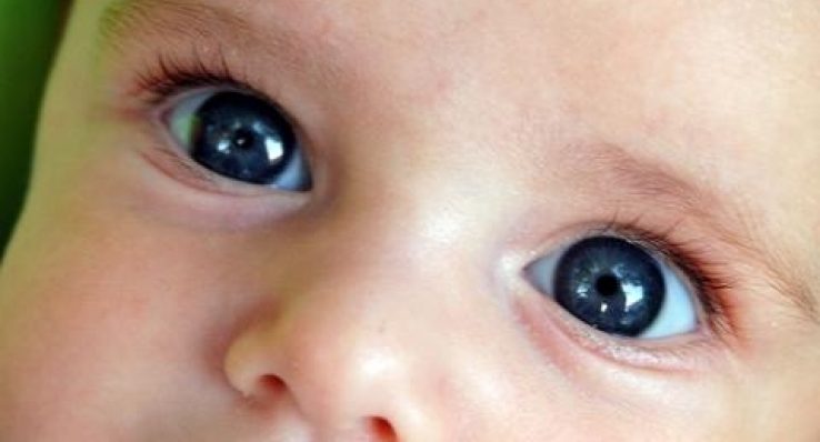 7e58113966c67085953dd45e2ed189c9