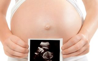 83d805430a76a62d95bd944b328ed4da