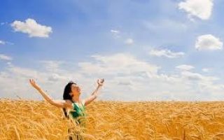 88b72442fc378fc76c587ff81f25e63a