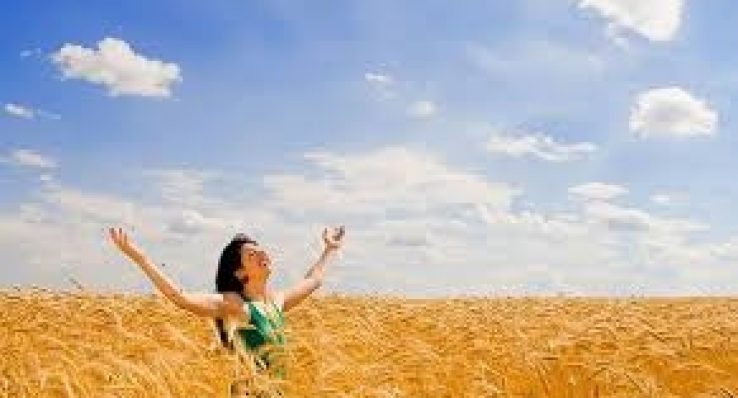 88b72442fc378fc76c587ff81f25e63a