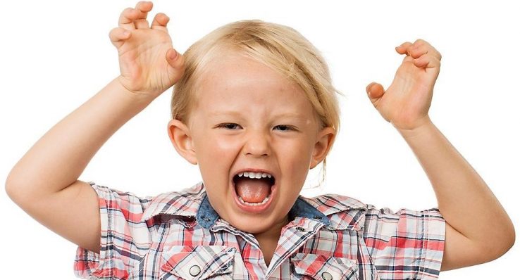 88db7844af2ce90dd73b32850051e7fc 88db7844af2ce90dd73b32850051e7fc