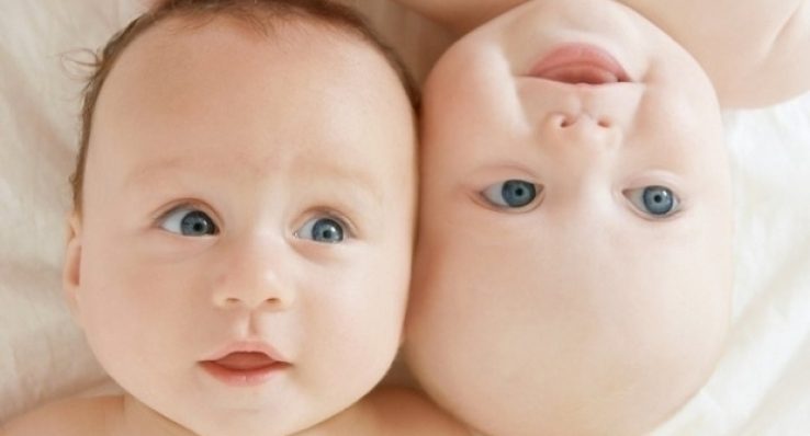 8c4e7ddecfb739ef5c33c55621b27630