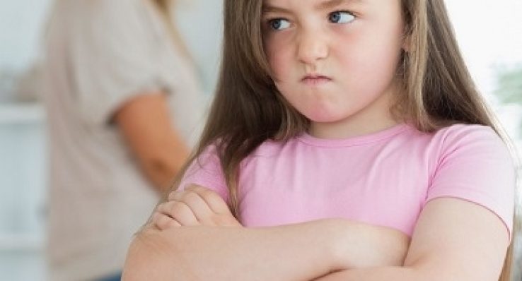 8d6f880cfd56a3587ea7277d22feb686