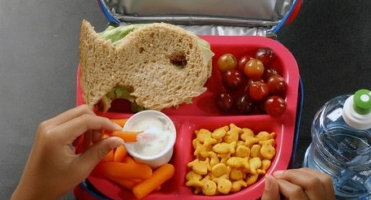 920e74ddc49b56e1eedc29b60cb99fb2