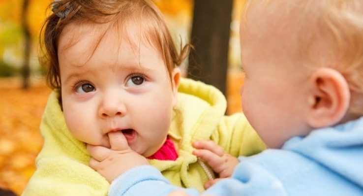 951dacecbf1473d30a48fde31dbdd5c1 951dacecbf1473d30a48fde31dbdd5c1