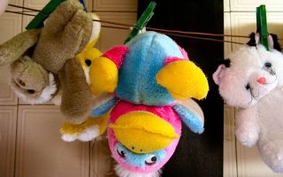 9605ffdc190be4afe69ab1386e9adcb5