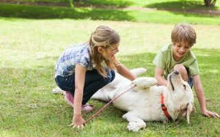 9cb8dfd774cee31c9ec136ef59796c21