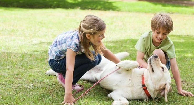 9cb8dfd774cee31c9ec136ef59796c21