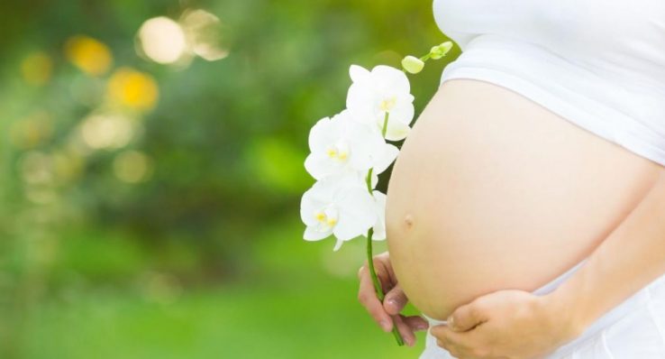 9fa010461d33e025bca8f044617e5331