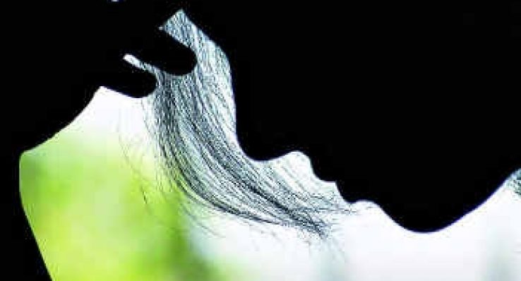 a5cfeb7eb858a454222c6a713718c016