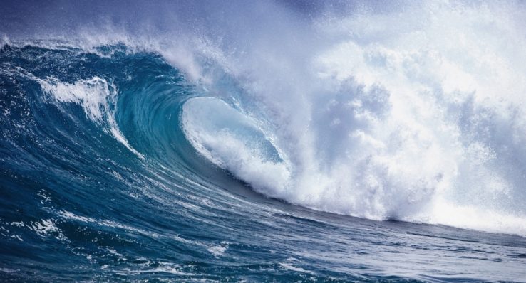 aee1a5aa76ef36d981450ff04a00740a