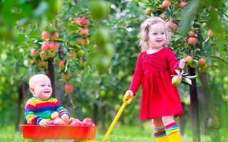 b0ccfdc71ad7b1e5260a567a30b9ecab b0ccfdc71ad7b1e5260a567a30b9ecab