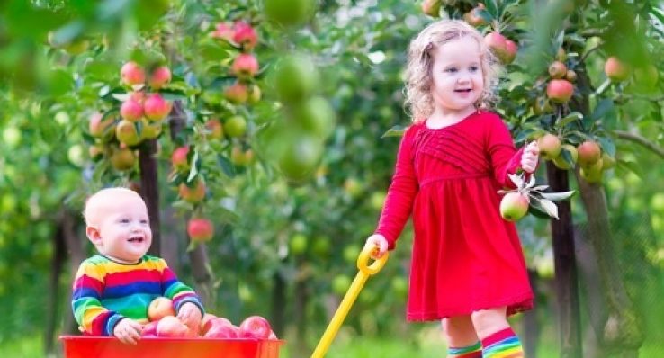 b0ccfdc71ad7b1e5260a567a30b9ecab b0ccfdc71ad7b1e5260a567a30b9ecab