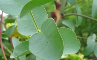 b3599069f49c08049acbd3687b750f47