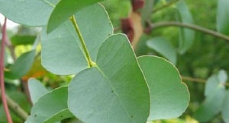 b3599069f49c08049acbd3687b750f47