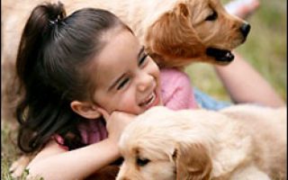 bc4c6771b68b0ed330f1918b8b62d9c4 bc4c6771b68b0ed330f1918b8b62d9c4