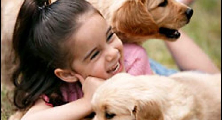 bc4c6771b68b0ed330f1918b8b62d9c4 bc4c6771b68b0ed330f1918b8b62d9c4