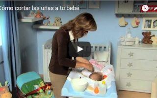 bd3eebf32e04c907d6d9fc42f4213df5