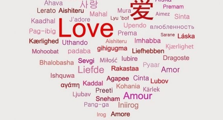 c0a900a8f1065494ea739555ce96d6a6