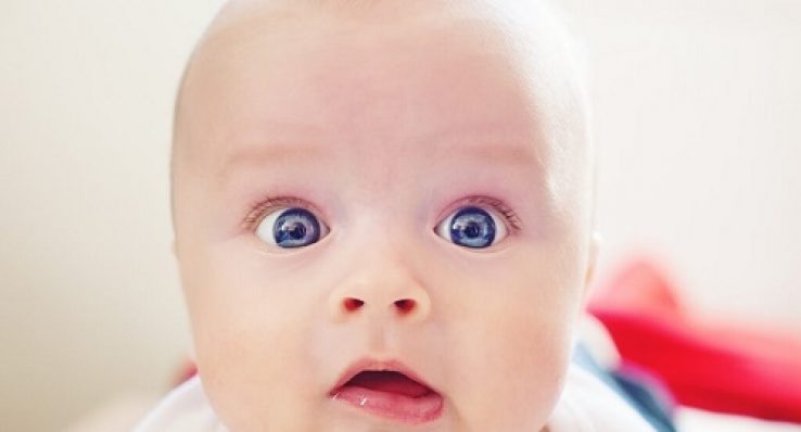 c254004b2125d54e936f8991ae1e4c44