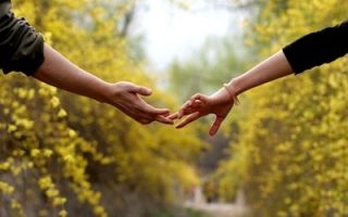 c36ca621a5bd9f22ed82eb87110f16dc