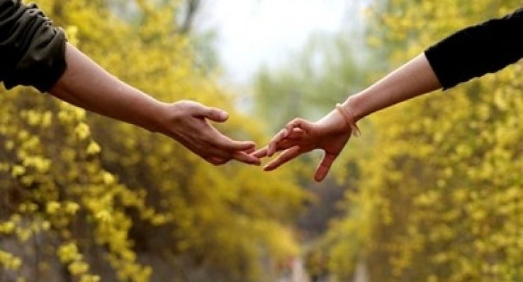 c36ca621a5bd9f22ed82eb87110f16dc