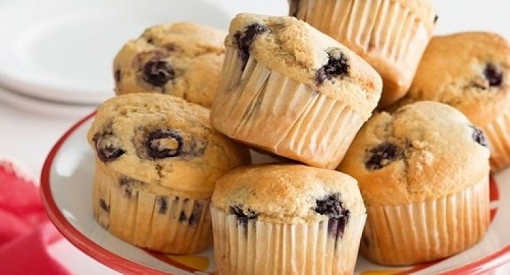 c82cc4e14a1d2c8c8ffff9840d24b558