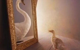 cb814f6646368a9340b7ed30aa1a9ed7