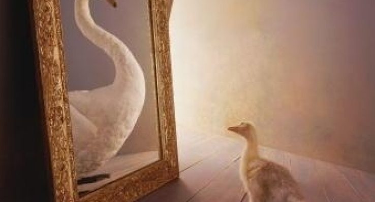 cb814f6646368a9340b7ed30aa1a9ed7