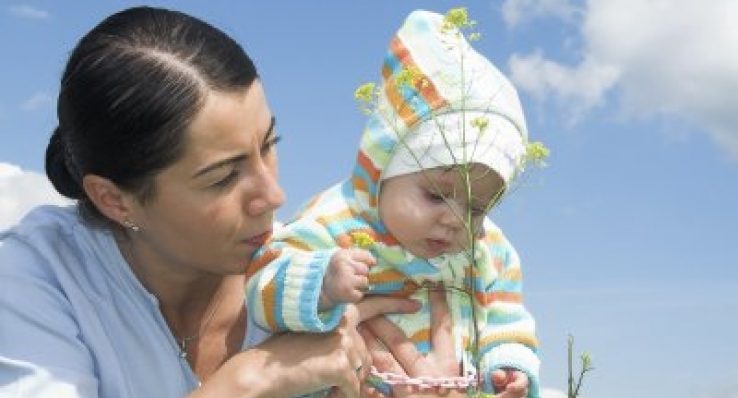 d1ed2bf3d11f7e7a6f189af32a153713