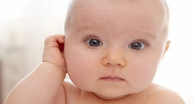 d3df5ab529cc57a70c8de1ccc5bedab4